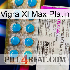 Vigra Xl Max Platinum new07